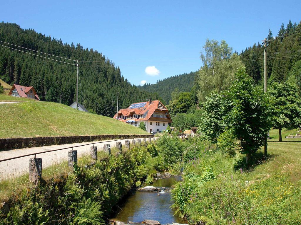 Gastehaus Herrmann Bad Rippoldsau-Schapbach Exterior photo